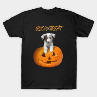 Halloween Dog T-Shirt